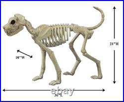 Life-Sized 36×21 Lab Puppy Dog Bones Plastic Halloween Pose-able Skeleton #134