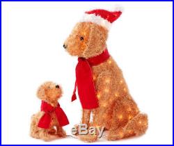 Lighted Fluffy Dog and Puppy in Santa Hat & Scarf 2 Pc Christmas Outdoor Decor
