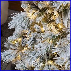 Lightly Flocked Snowbell Pine Pre-Lit Full Christmas Tree, Green with White