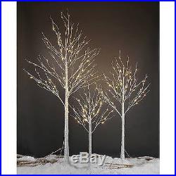 Lightshare 8' LED Birch Tree Decoration Light Warm White Lights