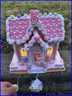 Love & Cupcakes Light Up Valentine's Gingerbread House Pink Pastel Sugared 11