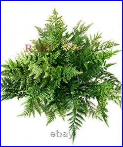 MacKenzie-Childs Potted Medium Artificial Fern With Bee New No Box