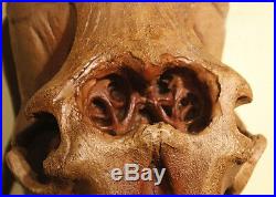 Mammoth 11 Skull Model Wall Hanging Wall-Mounted Sculpture Decor Fossil Replica
