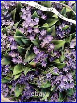 Martha Stewart LARGE TOPIARY PLANT BALL PURPLE JASMINE LILAC FERN 54-56 HTF NEW