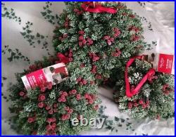 Martha Stewart LARGE TOPIARY PLANT BALL PURPLE JASMINE LILAC FERN 54-56 HTF NEW