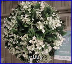 Martha Stewart set 2 TOPIARY PLANT BALL LILAC JASMINE FERN Purple Small 33C NEW