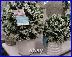 Martha Stewart set 2 TOPIARY PLANT BALL LILAC JASMINE FERN Purple Small 33C NEW
