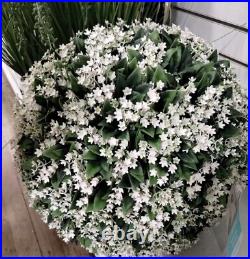 Martha Stewart set 2 TOPIARY PLANT BALL LILAC JASMINE FERN Purple Small 33C NEW