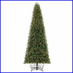 Member's Mark 12' Ellsworth Fir Christmas Tree