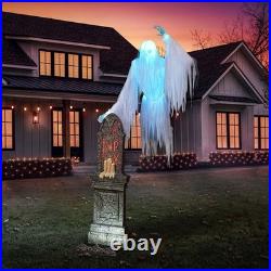 Member’s Mark 9′ Pre-Lit Animated Ghostly Skeleton