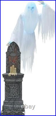 Member’s Mark 9′ Pre-Lit Animated Ghostly Skeleton LOCAL PICKUP
