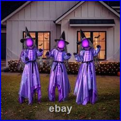 Member's Mark Pre-Lit Animated Witches Set of 3 Halloween Decor Member's Mark Pre-Lit Animated Witches Set of 3 Halloween Decor