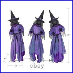 Member's Mark Pre-Lit Animated Witches Set of 3 Halloween Decor Member's Mark Pre-Lit Animated Witches Set of 3 Halloween Decor