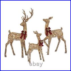 Members 3 Piece PreLit Twinkling Woodland Deer Family