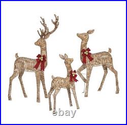 Members 3 Piece PreLit Twinkling Woodland Deer Family