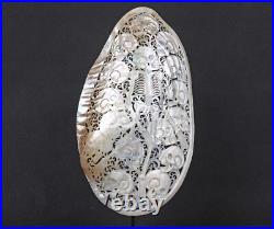 Mussels Clam Shell Carving Skulls + Premium Stand Wooden Base, Decorative Shells