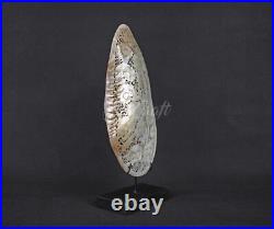 Mussels Clam Shell Carving Skulls + Premium Stand Wooden Base, Decorative Shells