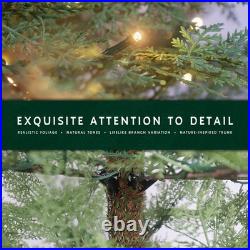 My Texas Home House Cypress Fir Artificial Christmas Tree (6ft Prelit) HearthFir