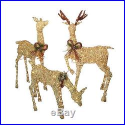 NEW Christmas 3-pc 490 Lights/Lighted Deer Buck Family Inddor/Outdoor Yard Decor