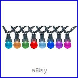 NEW Gemmy Lightshow Applight LED G30 String of 24 Lights Multicolor