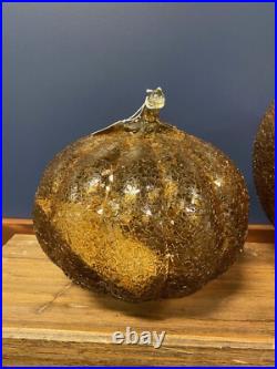 NEW POTTERY BARN Pumpkin Cloche Amber Textured Glass Fall Harvest Sm Med NWT