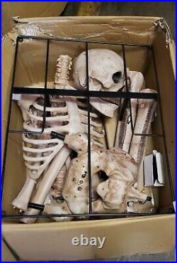 NOB Seasonal Visions 8ft Towering Skeleton DISTRESSED BOX
