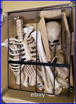NOB Seasonal Visions 8ft Towering Skeleton DISTRESSED BOX
