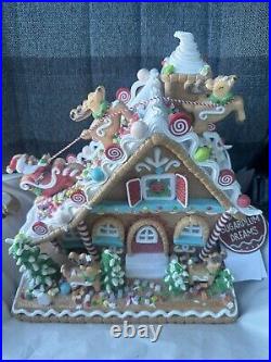 NWT Sugarplum Dreams Christmas Santa's Sleigh Colorful Frosted Glitter LED House