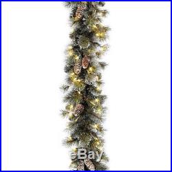 National Tree 9 Foot by 10 Inch Glittery Pine Garland with Snowflakes and Cones