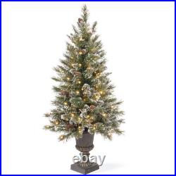 National Tree Company 4 ft. Glittery Bristle Pine Entrance