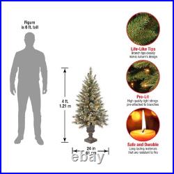 National Tree Company 4 ft. Glittery Bristle Pine Entrance