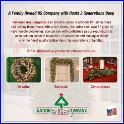 National Tree Company Artificial Mini Christmas Tree, Green, Dunhill Fir, Includ