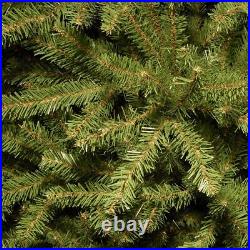 National Tree Company Artificial Mini Christmas Tree, Green, Dunhill Fir, Includ