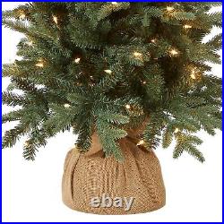 National Tree Company Pre-lit Artificial Mini Christmas Tree Includes Small
