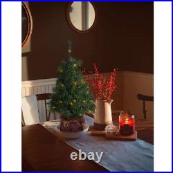 National Tree Noble Spruce Tree with LED Lights, Assorted, 2' (Pack of 3)
