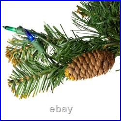 Northlight 4.5' Yorkville Pine Pencil Artificial Christmas Tree Multi Lights