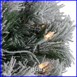 Northlight Snowy Bristle Pine Artificial Christmas Tree 4.5' Clear Lights