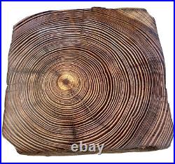 OG Sinker Heart Pine timber Log Block Cookie for home decor, art, design Craft