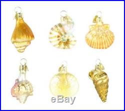 Old World Christmas Assorted Sea Shell Set of 6, 2 Glass Ornaments