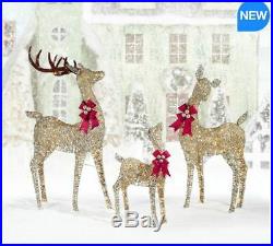 Outdoor Christmas 3 Reindeer Family Set of 3 with LED Lights 650 LED Lights Xmas