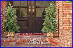 Outdoor Christmas Decoration 5 Piece Entryway Pre Lit Garland Wreath 2 Trees