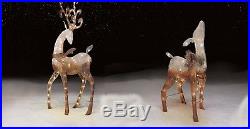 Outdoor Christmas Decoration Deer Family 52'' Deer & 28'' Doe Lighted Decor 2 PC