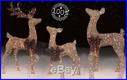 Outdoor Christmas Decorations 3-4 Pc Deer Bundle PreLit Buck Xmas Fawn Decor Fam