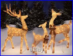 Outdoor Lighted Christmas REINDEER BUCK, DOE, FAWN Deer SET Yard Decor Lights Up