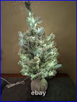 POTTERY BARN TEEN LoveShackFancy Decorated Mini Tree (2 Ft.)-OPEN BOX