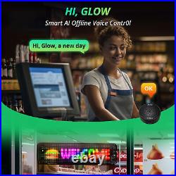 Pair 19 Programmable Car/ Home/ Shop Window Display LED Light Screen Signal