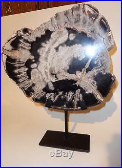 Petrified Wood Slice on stand 20 million year old 11'' h x 10.5'' at the center