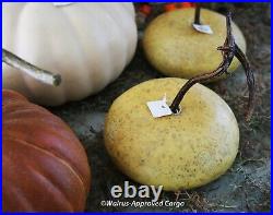 Pottery Barn And Crate & Barrel Faux Pumpkin Set (11) -nwt- Simply Gourd-geous