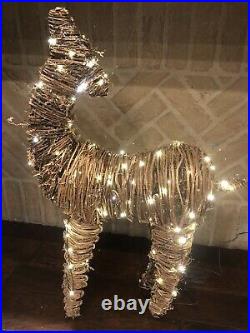Pottery Barn Grapevine Light Up Reindeer Deer Christmas Decor Indoor Outdoor New