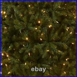 Pre-Lit Artificial Full Christmas Tree Green Dunhill Fir Dual Color LED Light